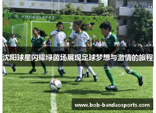 沈阳球星闪耀绿茵场展现足球梦想与激情的旅程